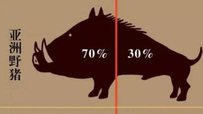 澎湃新闻 专注时政与思想 thepaper.cn