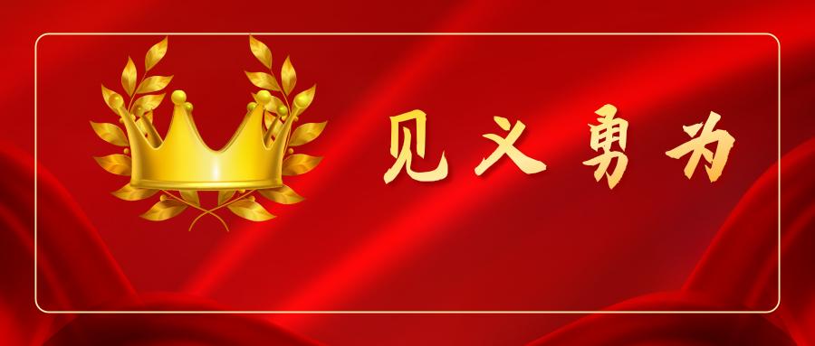 勇擒抢夺犯,勇救落水者…泸州表扬奖励这些见义勇为勇士