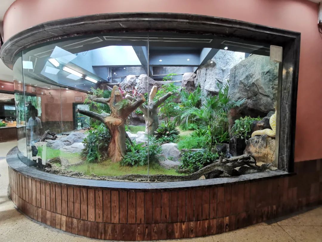 探索上海动物园拟建10000平米新场馆陆龟鳄鱼将有新家