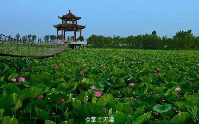 天津市北辰区旅游景点图片