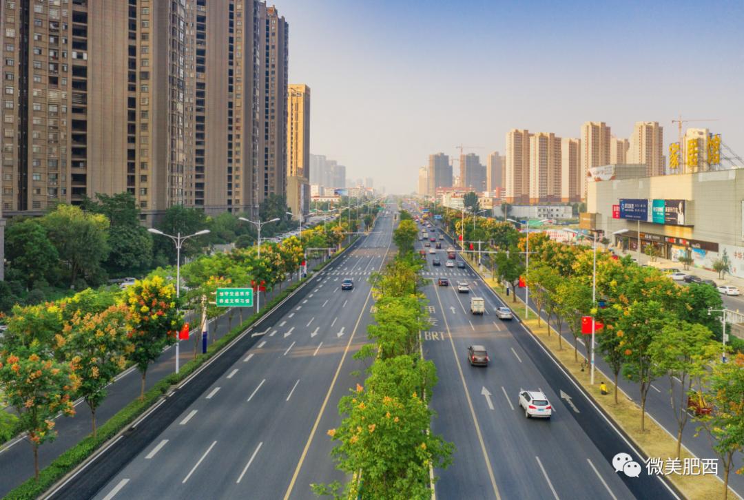 肥西这2个乡镇入选全国中部百强乡镇