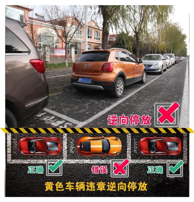 创城进行时沧州交警提醒这才是正确的停车方式