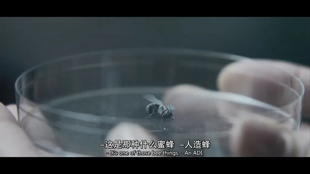 新开传奇发布网_即使他被微博砸了，这是你想要的世界吗？插图17