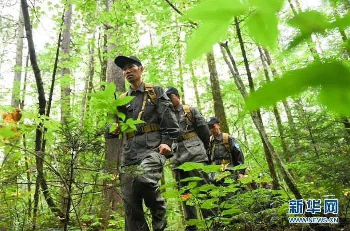 自然保护区丨长白山林海守护者