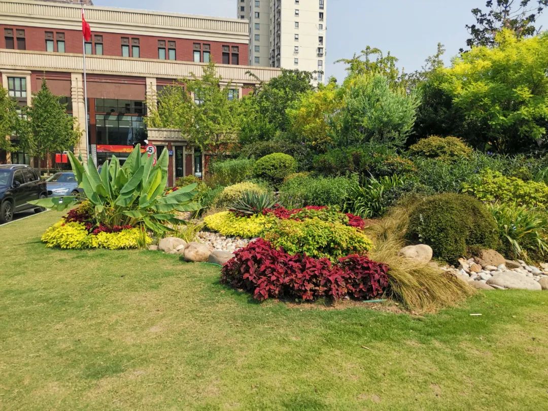 茶余饭后来走走今年杨浦区新增了2座街心花园