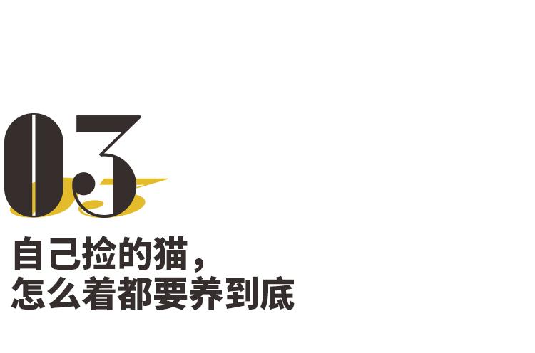 养猫,是本世纪最大的诈骗 养猫,是本世纪最大的诈骗