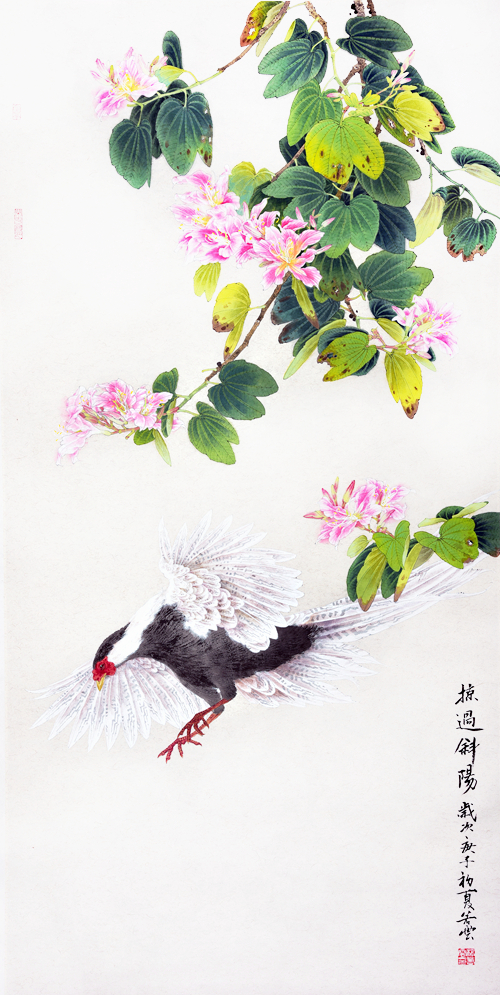 杨若云工笔花鸟画欣赏图片