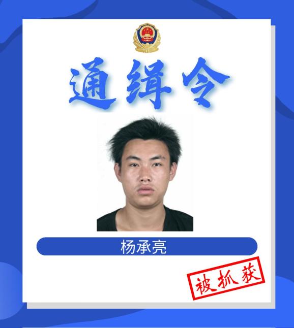 张秀梦杨承亮杨孟泰安六名逃犯归案其中两人迫于压力投案自首