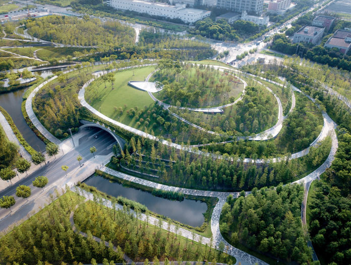 桃浦中央绿地从500余个项目中脱颖而出!荣获国际奖项!