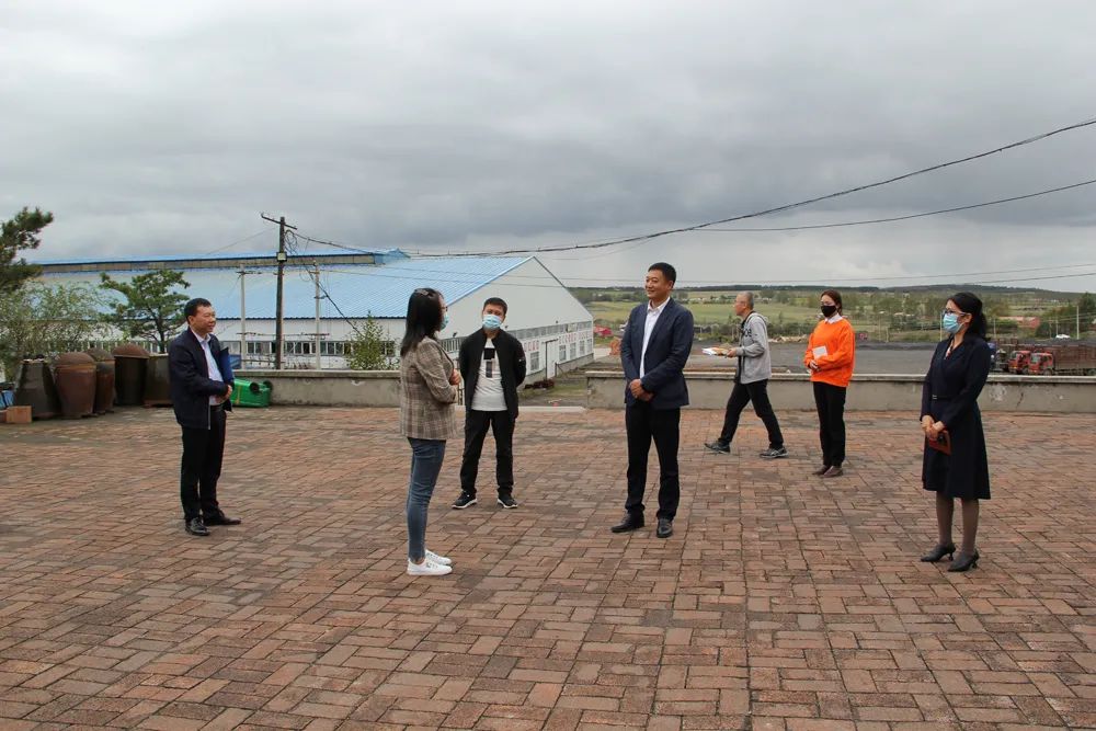 新型建材有限公司,黑龙江荣盛达食品有限公司,七台河华璞木业有限公司