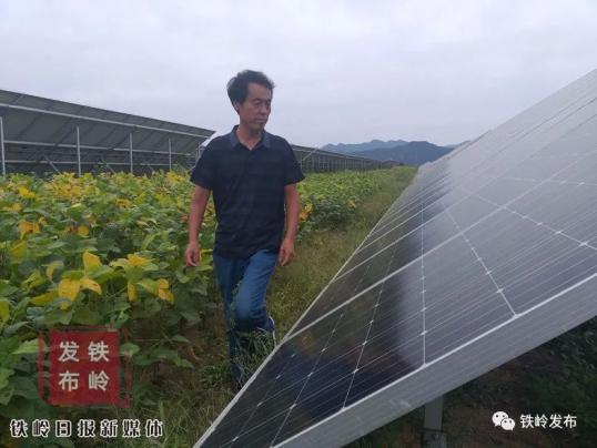 板是由中利科技集团旗下铁岭祥晖新能源有限公司建设的光伏电站项目