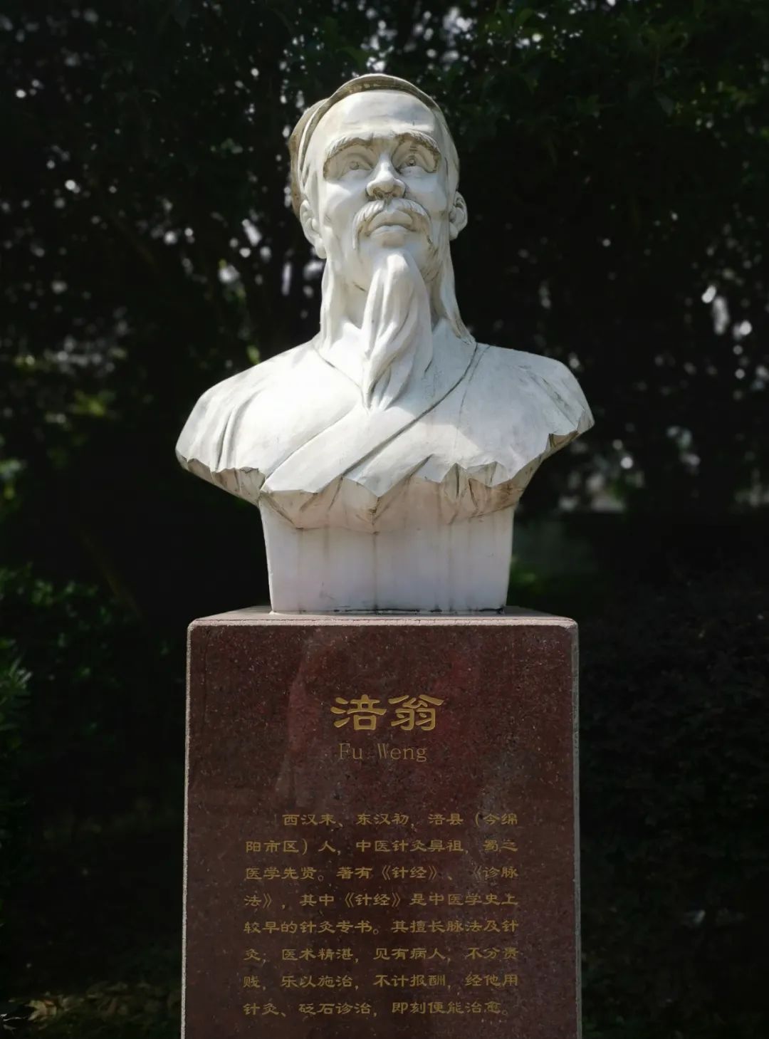 方志四川61历史文化郑家福肖佳忆两汉名医涪翁第一位