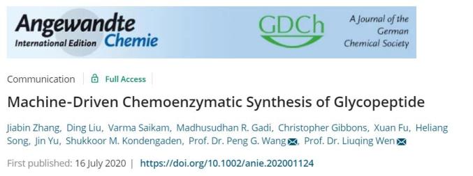 文留青/王鹏团队在糖肽合成研究中取得新突破-Hypeptide