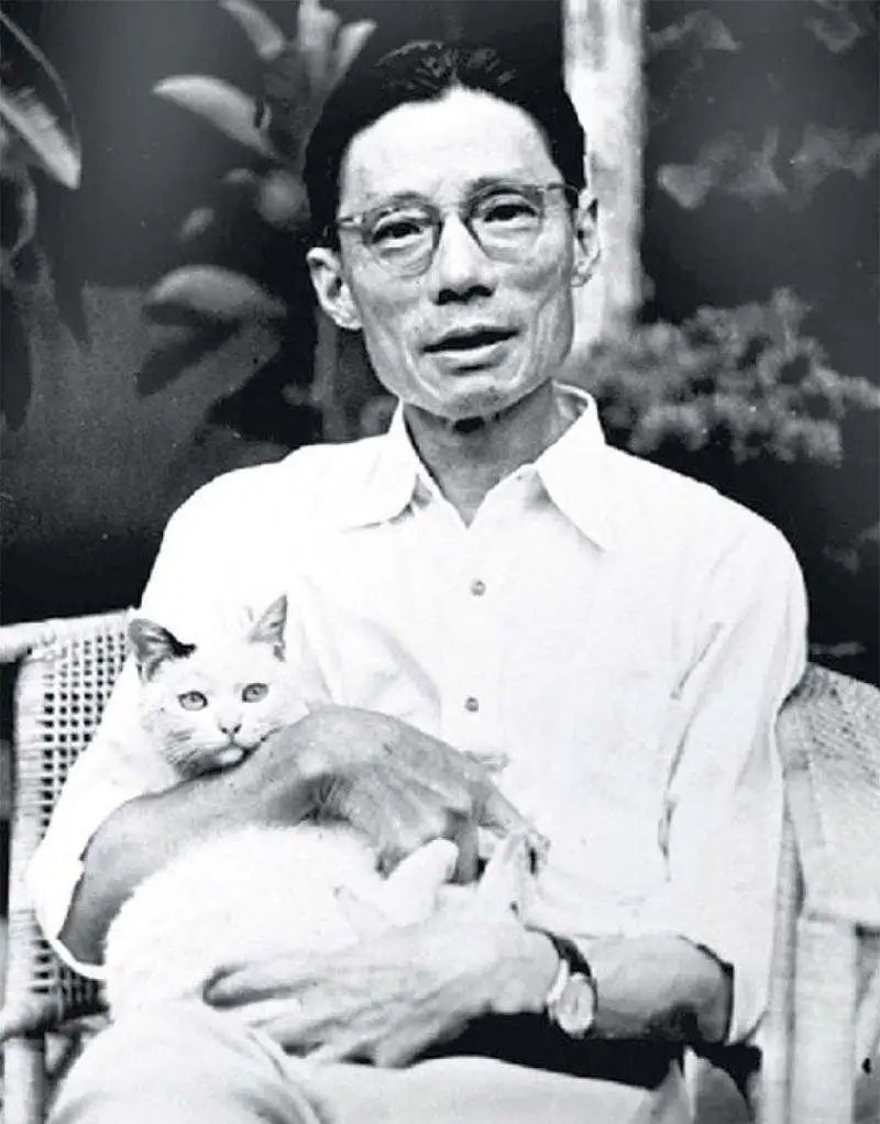 包身工以有温度的文字探索光明