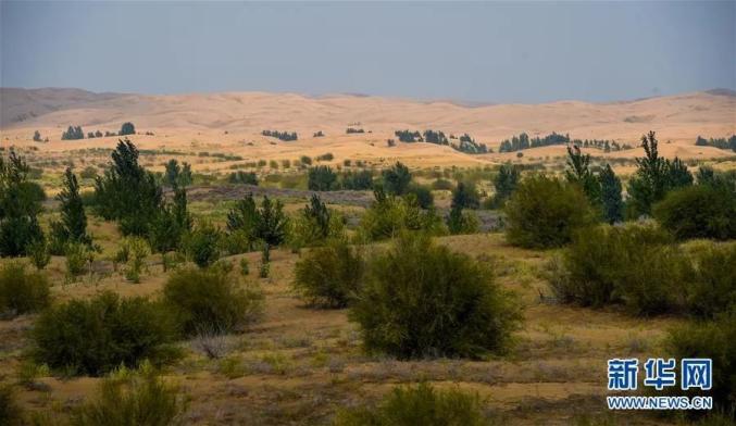 鄂尔多斯是内蒙古的吗 948.jpg