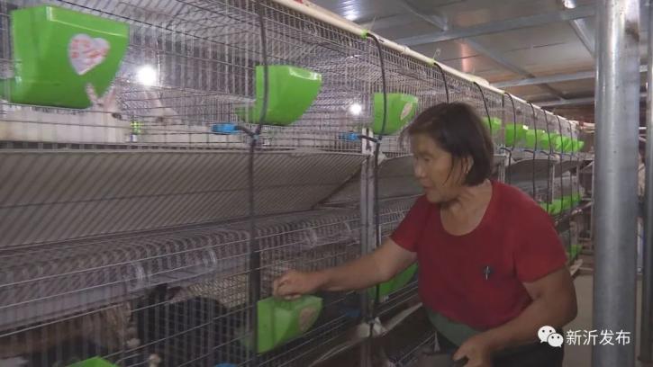 致富经养兔致富视频_致富经兔子养殖_致富经养兔