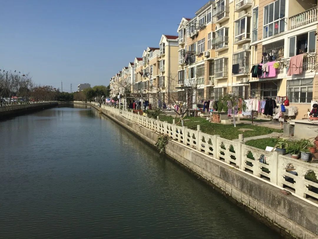 青浦香花桥这几个河道护岸实现华丽转身一起来欣赏它们的美貌吧