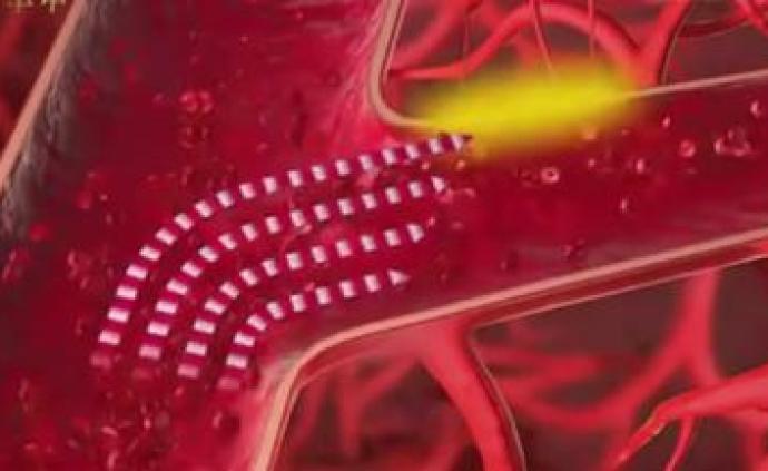 澎湃新闻 专注时政与思想 thepaper.cn