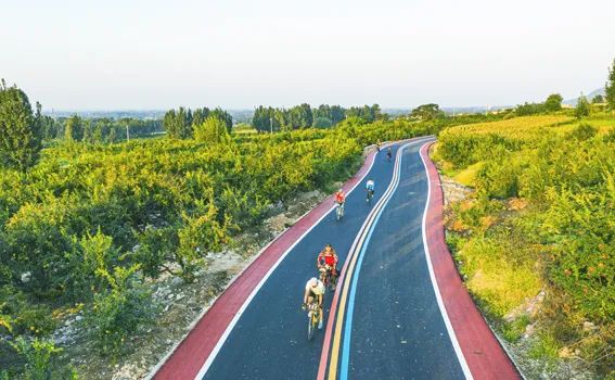 每日速报彩色绿道勾勒乡村多彩生活市中区公益性公墓建设按下启动键