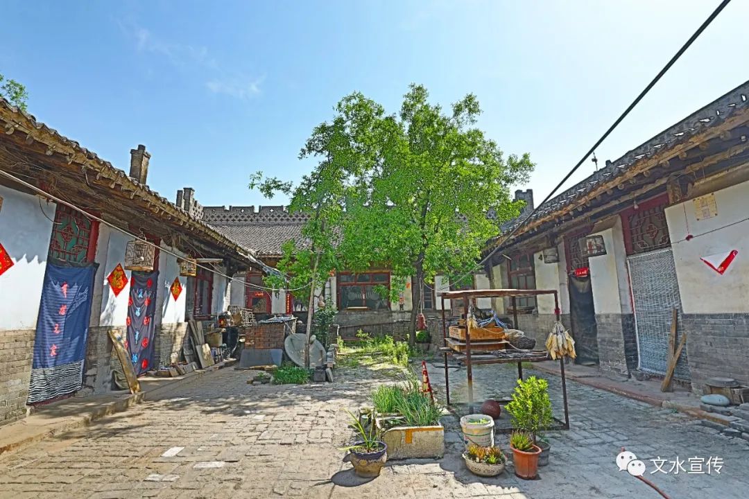 北徐村内有株凤凰古槐,主干在两米处突然向东弯伸,然后向上挺起,像