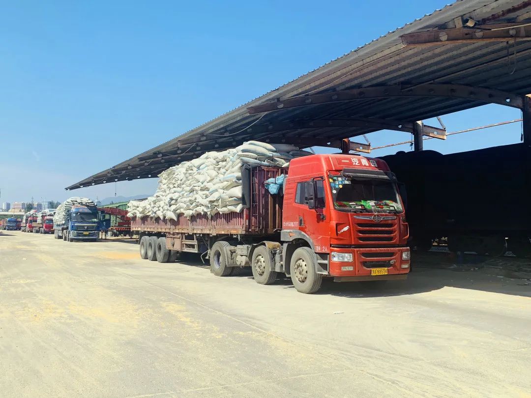 急眼瞅着火车拉来的玉米堆在货场里