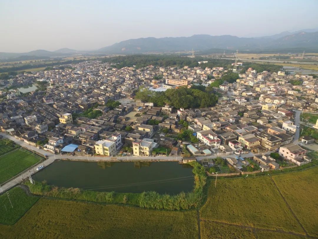 台山斗山浮石村的历史图片