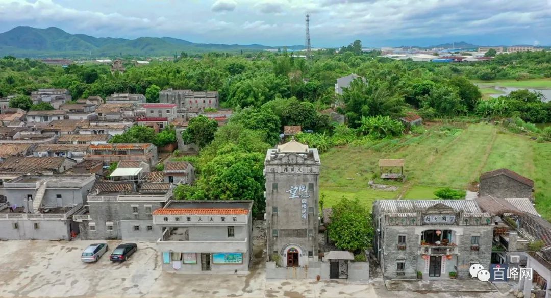 直播中,四九镇委书记谢福海,镇委副书记,镇长徐光志作为受邀嘉宾,在