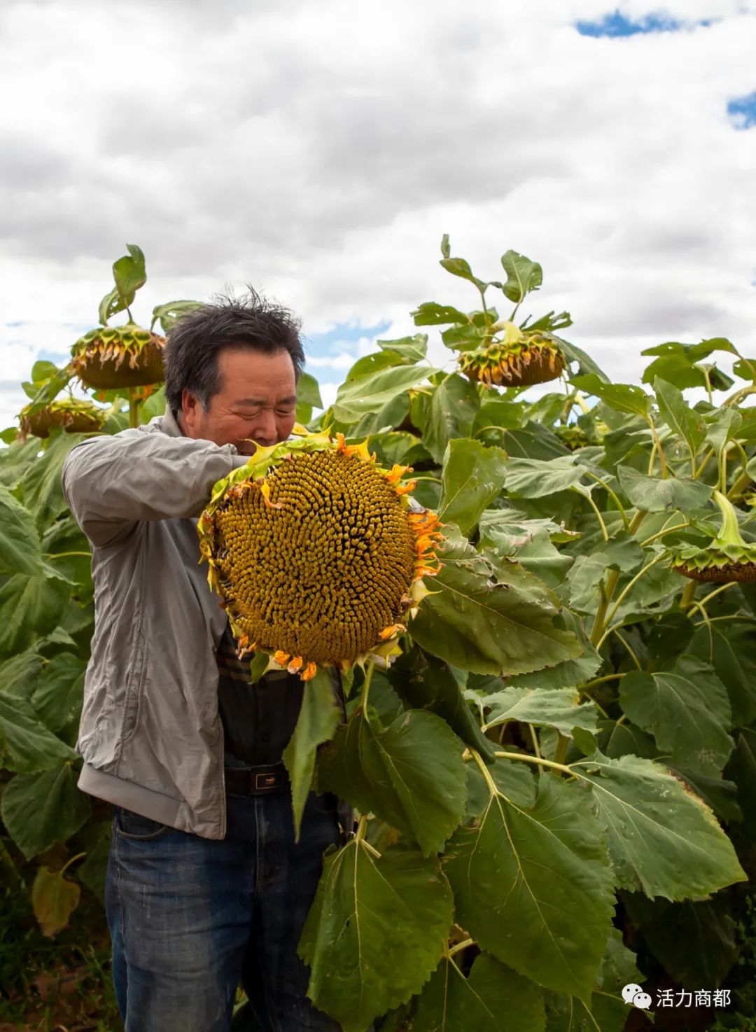 【庆丰收 迎小康】听!这首丰收的乐曲