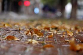 陕西二本医学院排名_2019年陕西二本大学名单二本院校排名及分数线