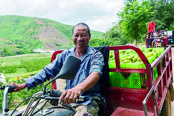 华宁县甫甸社区的振兴密码三步走成就新五子登科