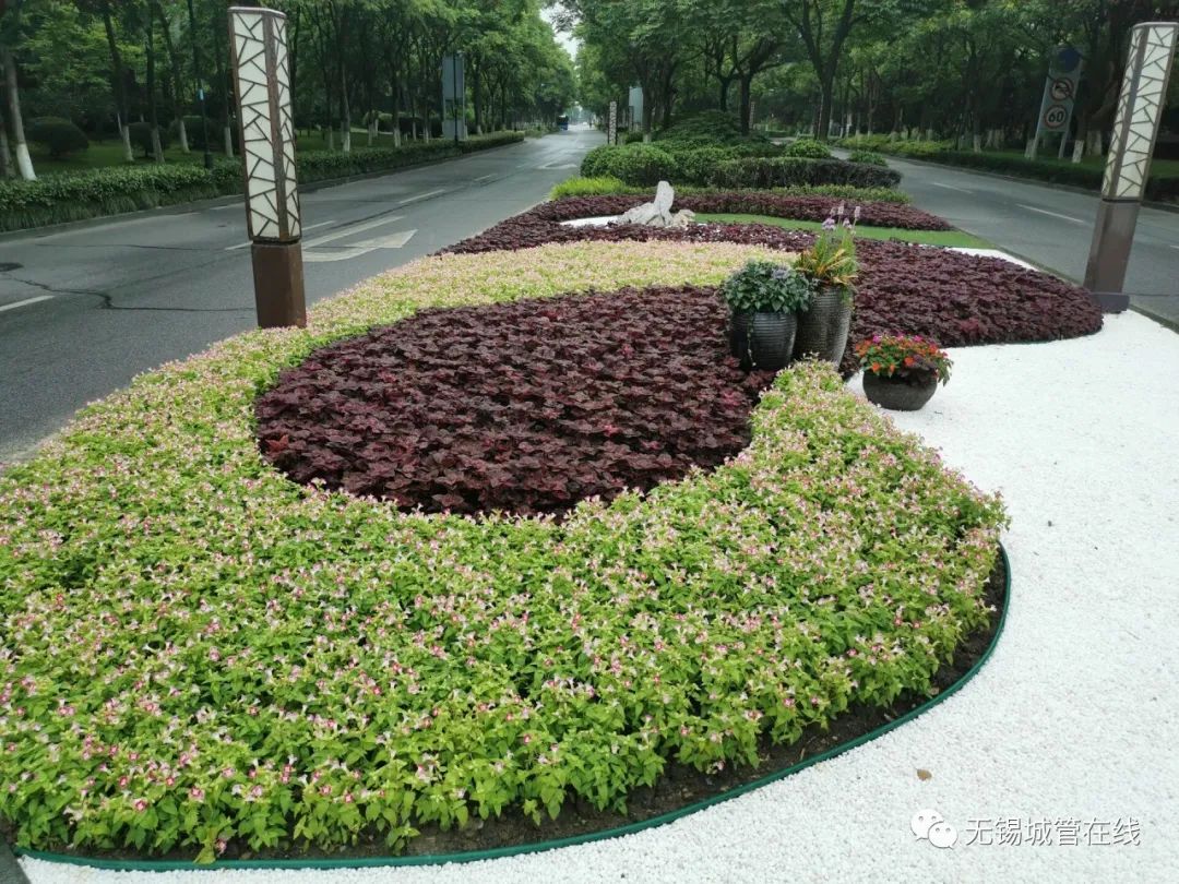 打造全国最干净城市街景花境