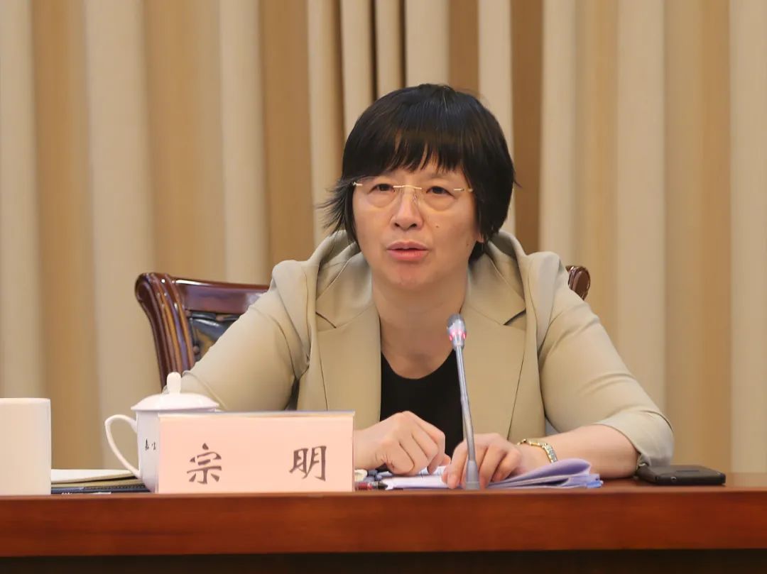 宗明副市长到嘉定调研"六稳""六保"工作并走访企业