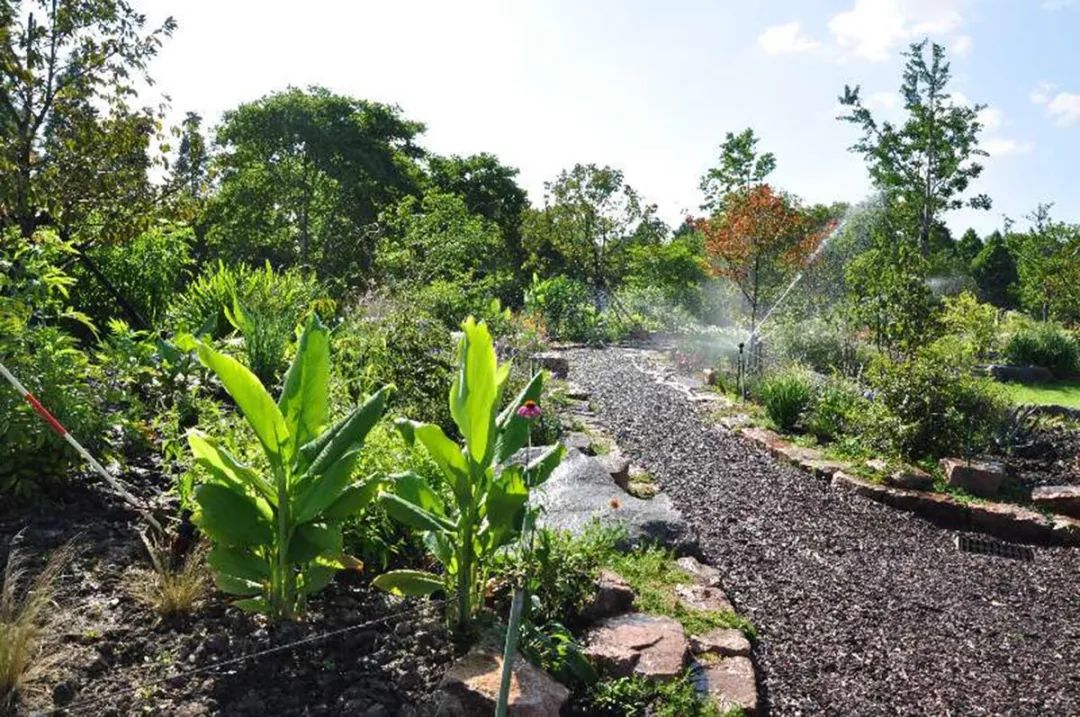 本週日9月20日辰山植物園的藥用植物園將開園