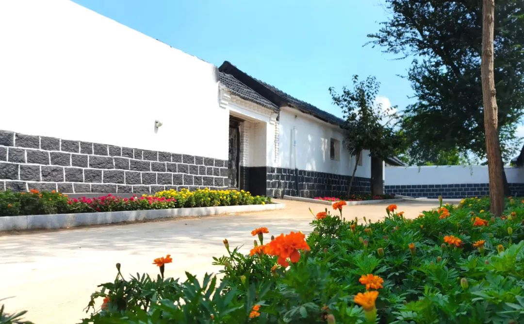 我家街巷最美系列展示青岛市莱西市姜山镇前垛埠村