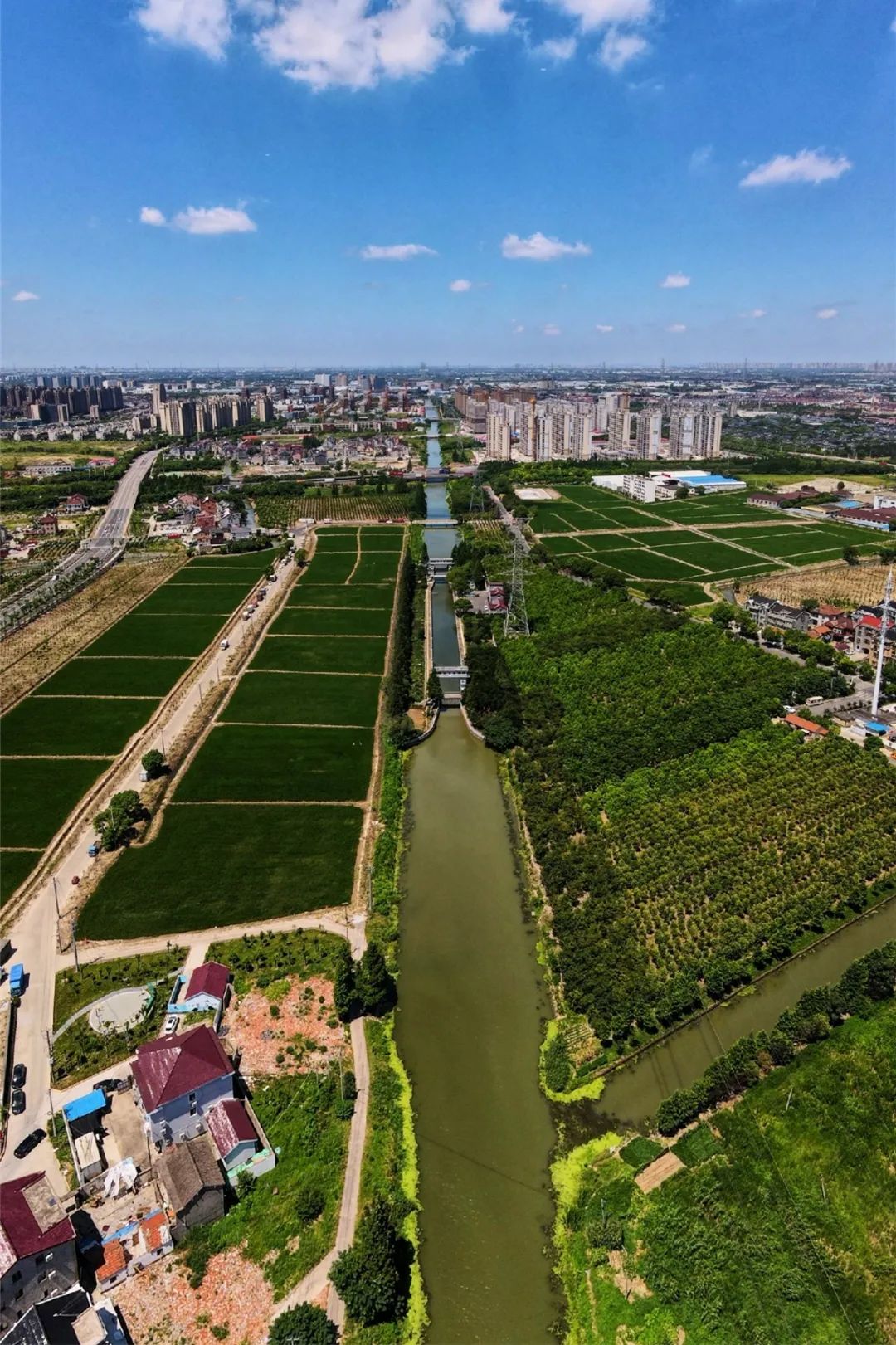 臭河浜何以碧水涟涟华新镇新谊村努力构建水生态系统