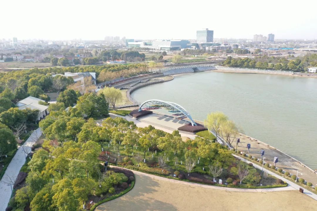 荷花博览园 -- 森林公园 -- 陈海公路 -崇明的颜值步步飙升!