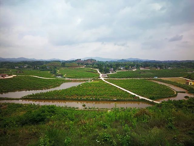 古溪龙滩村产业旺起来山村美起来