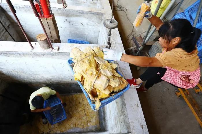 小笋干铺就村民"致富路"