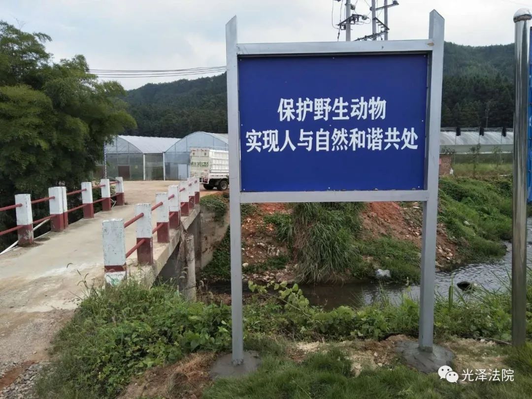 生态司法丨禁止令,巡山令,修复金! 光泽织密野生动物司法保护网