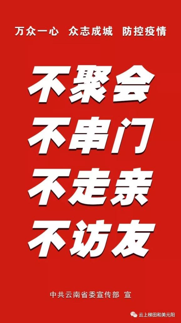 云南省人口普查公益宣传片_云南省人口分布示意图