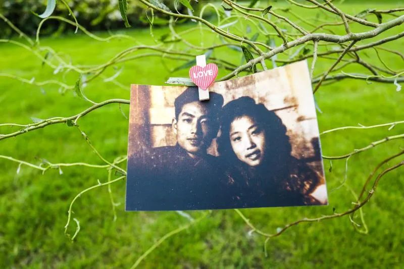 生命有尽爱无涯平如美棠主题雕塑在上海福寿园落成