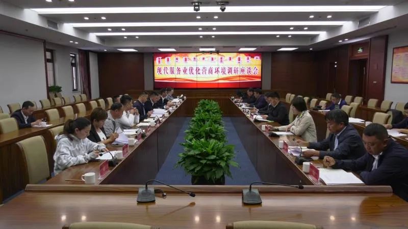 巴图吉雅带队调研我旗现代服务业行业优化营商环境情况