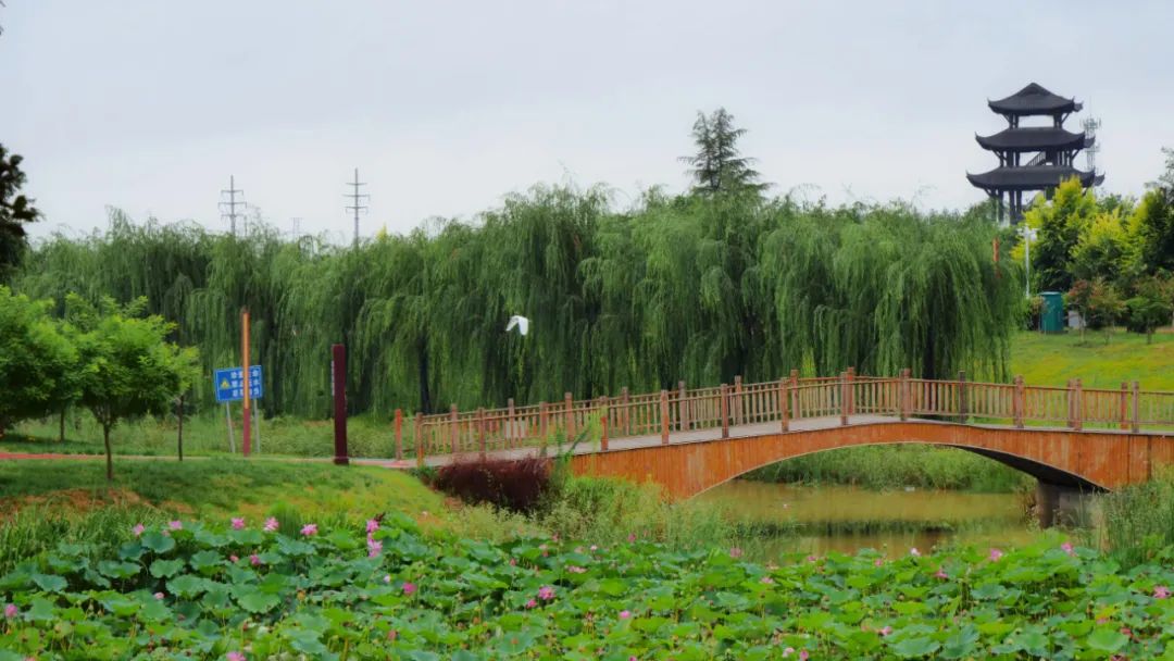 如意湖公園開園嘍走起來