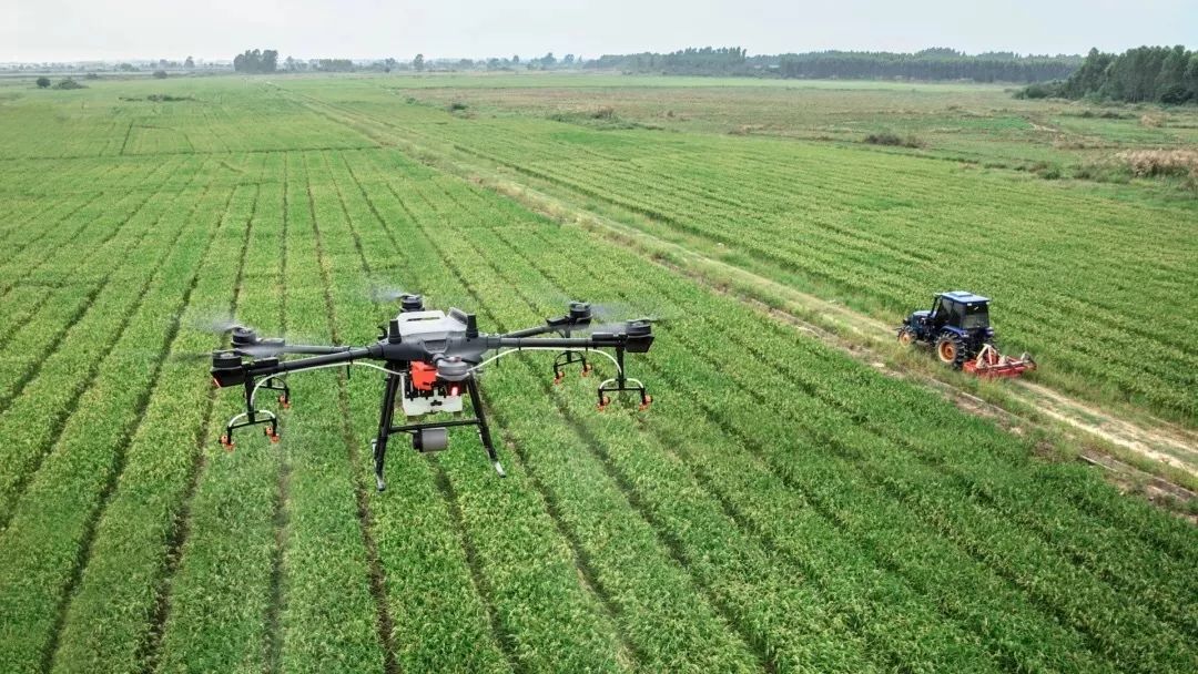 无人机进行森林资源保护勘测△无人机植保枣庄日报全媒体记者 甄宗
