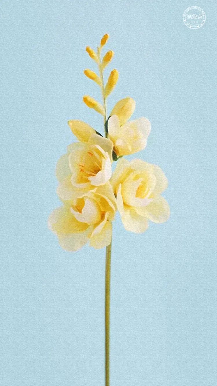 结婚比单身好的原因结婚比单身好辩论赛 自媒体热点