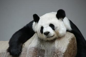 还影响自己的身体健康不仅让颜值下降……憔悴,疲倦,沧桑为此花掉多少