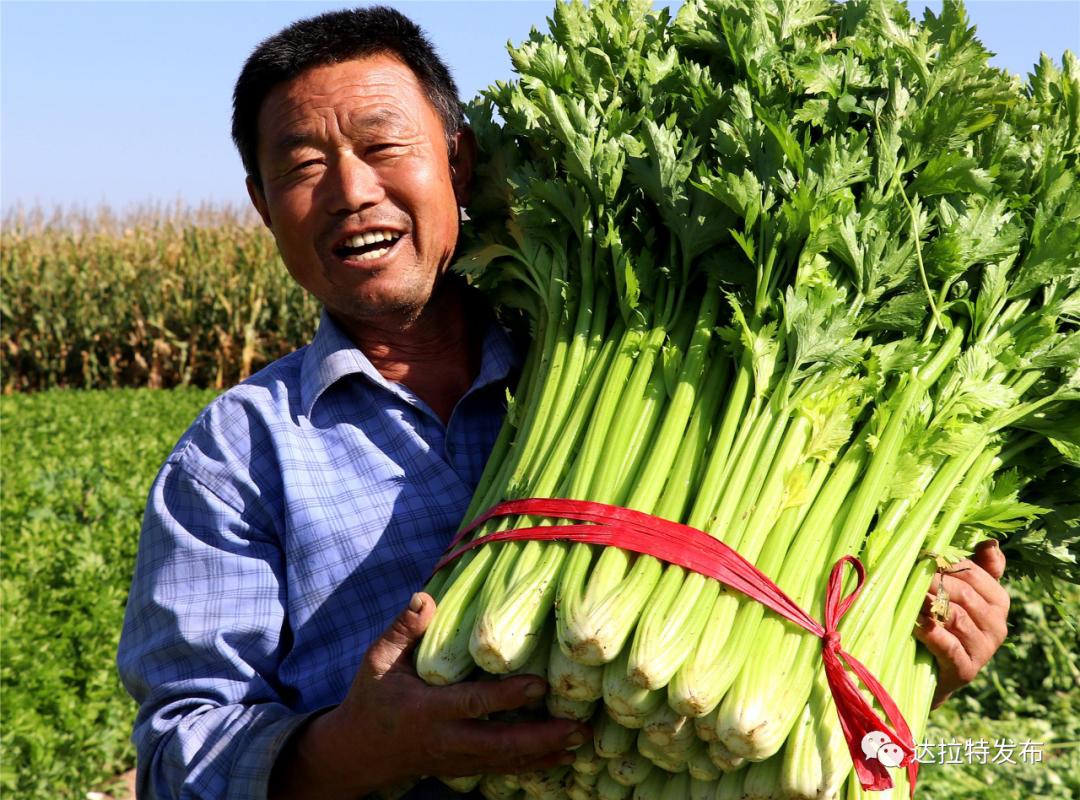 丰收节来了这些笑脸火了