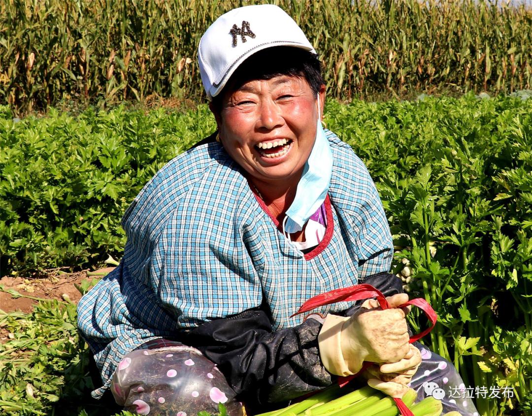 丰收节来了这些笑脸火了