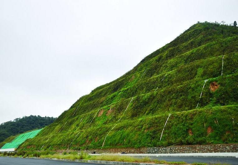 未来这个村要再次升级!如何建设?很有特色!