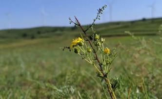 孔子：益者三友，损者三友